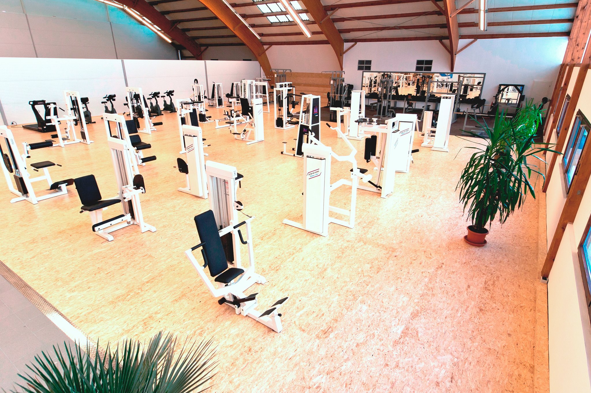 geraete-purefitness-neuenstadt-1