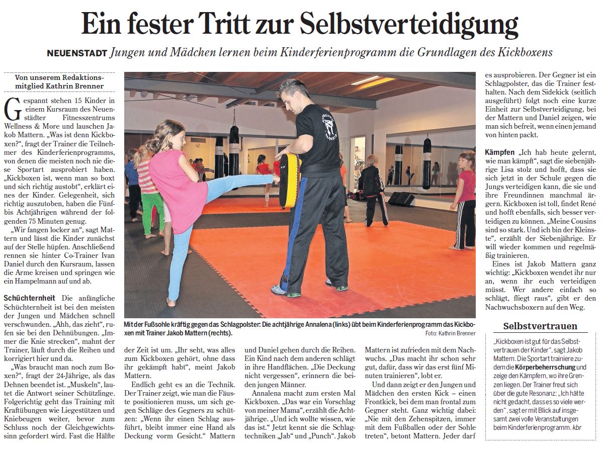 kickboxen-neuenstadt-heilbronner-stimme-zeitung